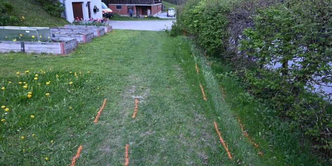 In Vättis überfuhr ein Autofahrer ein Wiesland und prallte in eine Hecke. Vättis Unfall