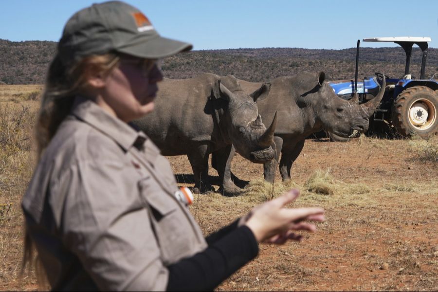 Das Projekt wird in einer Nashorn-Auffangstation in Südafrika durchgeführt.