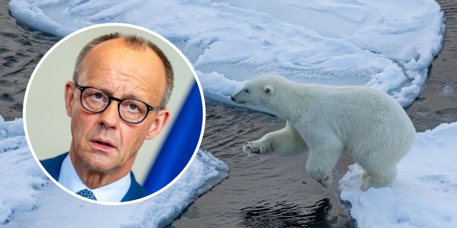 Merz Eisbär