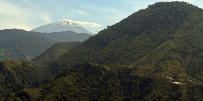 Ein Bus mit 26 Menschen, auf dem Weg von Tolima nach Quindío verunglückte, nachdem der Busfahrer die Kontrolle verlor. Bus