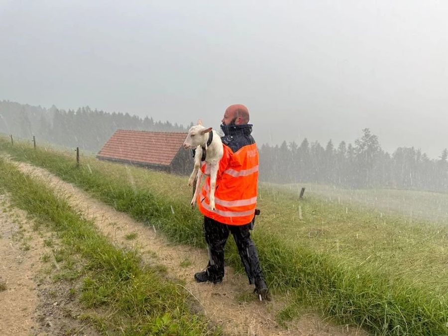 Weder Tiere noch Personen kamen zu Schaden.