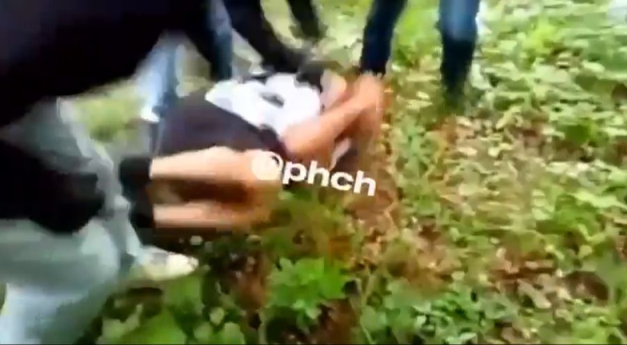 pedo