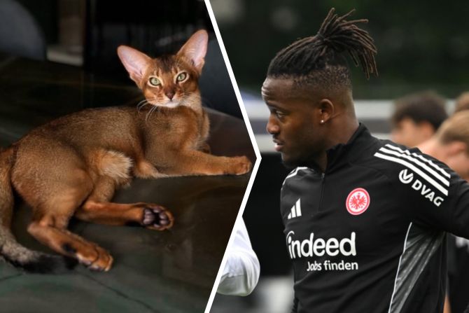 Batshuayi