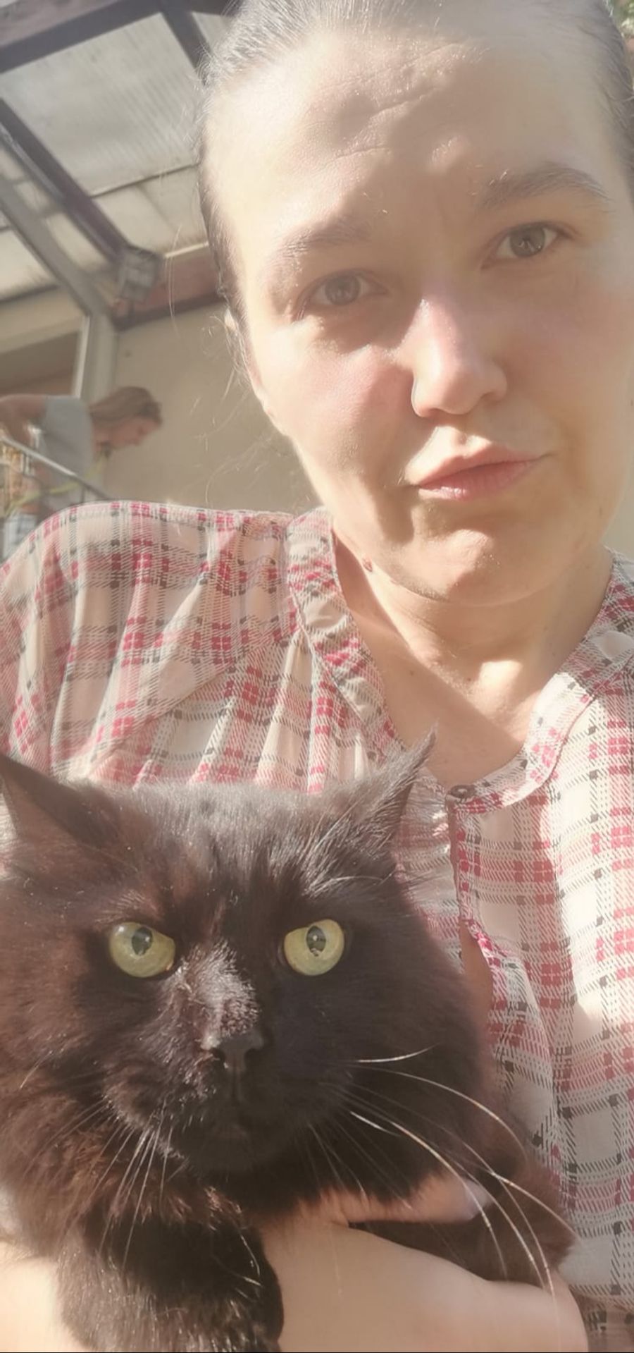 Katze