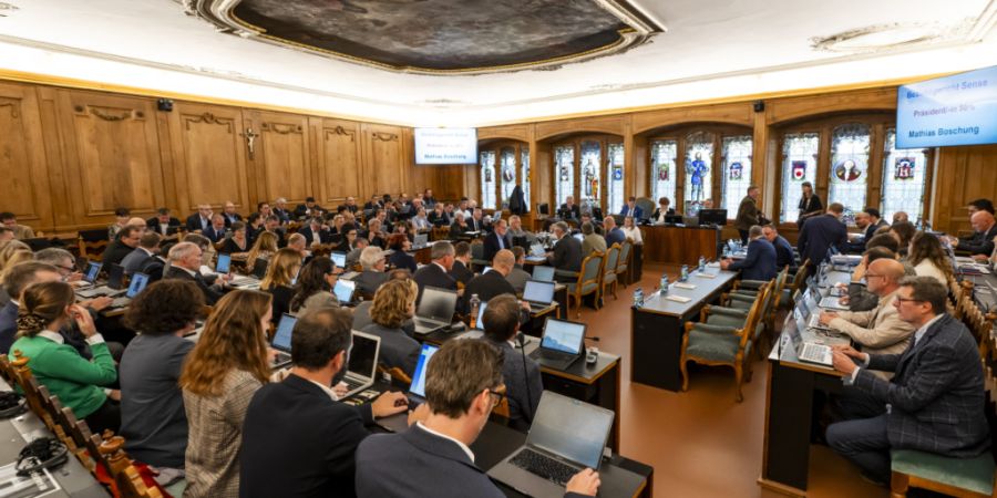 Der Freiburger Grosse Rat wird das neue Budget 2026 in seiner Junisession behandeln. In Kraft treten soll es Anfang Juli. Bis dahin darf der Kanton nur das Nötigste an Geld ausgeben. (...