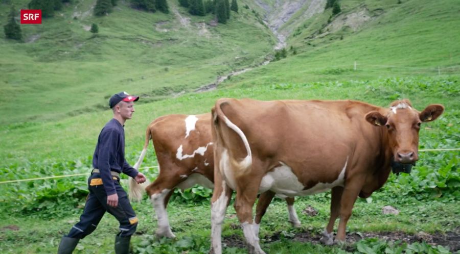 Er ist Bauernsohn und möchte eines Tages den Hof seines Vaters übernehmen.
