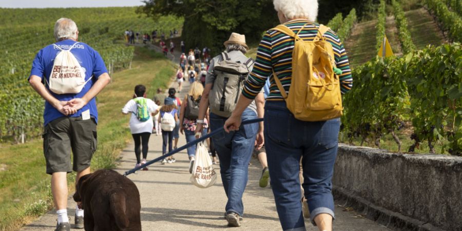 Frühpensionierungen sollen vom Kanton Obwalden finanziell nicht mehr unterstützt werden. (Symbolbild)