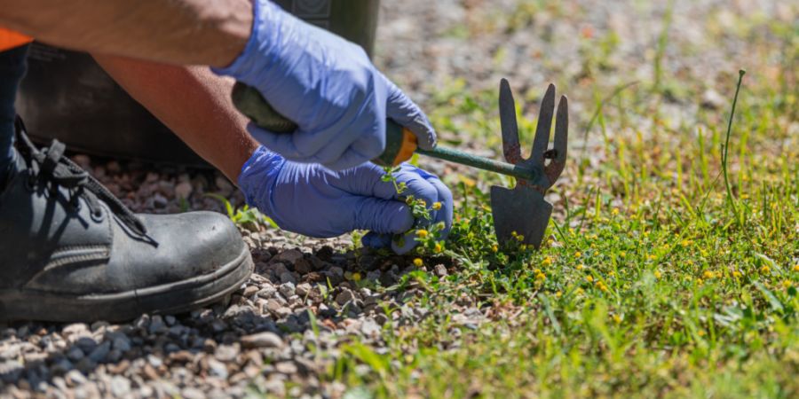 Die Berner Regierung unterstützt einen Vorstoss, der die Verrichtung von gemeinnütziger Arbeit anstelle von Ersatzfreiheitsstrafen fordert. Die übervollen Gefängnisse sollen so entl...