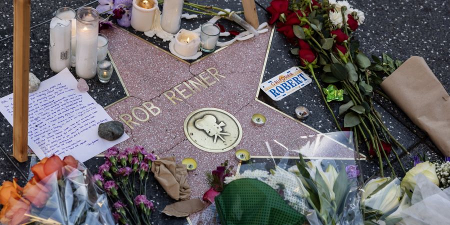 Rob Reiner Stern Hollywood