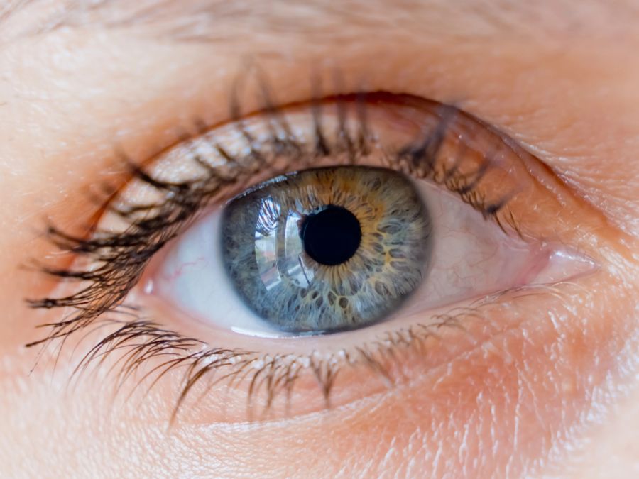 nahaufnahme auge