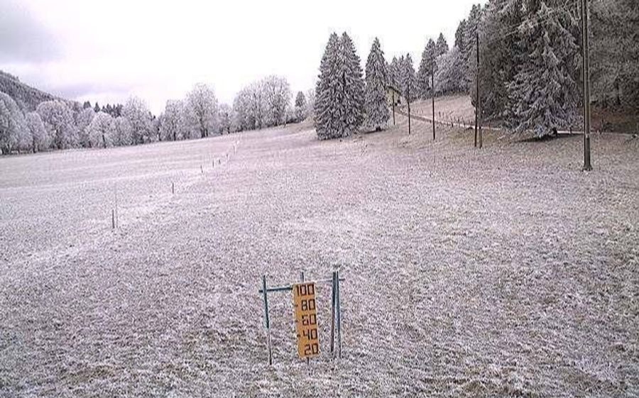 Auch am Jurasüdhang, in Les Prés-d’Orvin BE, ist die Landschaft von einer zarten Schneedecke überzogen.