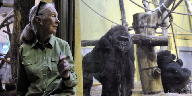 Jane Goodall