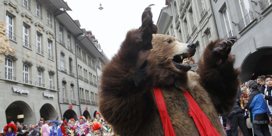 Berner Fasnachtsbär