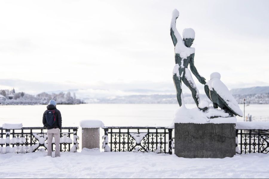 Vor zwei Wochen verzauberte der Schnee das gesamte Schweizer Flachland.