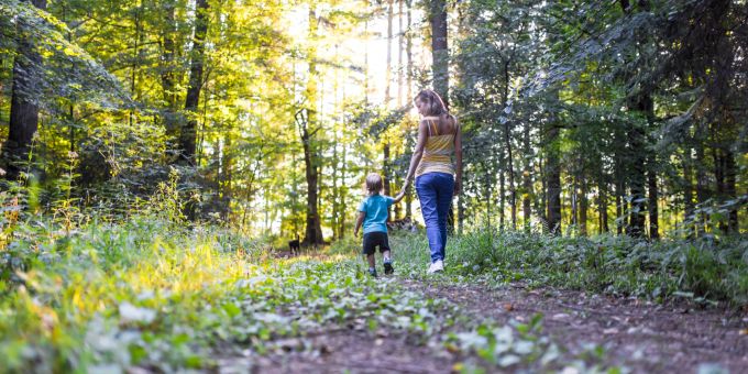 An manchen stehen Schilder mit Erklärungen zu Tieren und Pflanzen, auf anderen werden natur- oder kulturwissenschaftliche Umstände beleuchtet, manchmal reicht aber auch einfach der Wald zum Glück: beim Naturerlebnisweg. Frau Kind Weg Wald