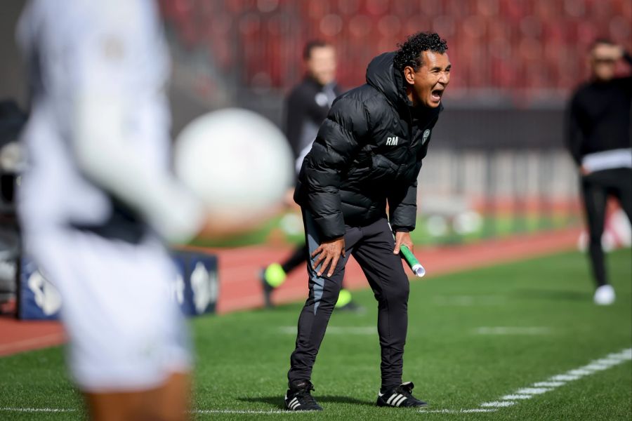 Zürichs Trainer Ricardo Moniz feuert sein Team von der Seitenlinie aus an.