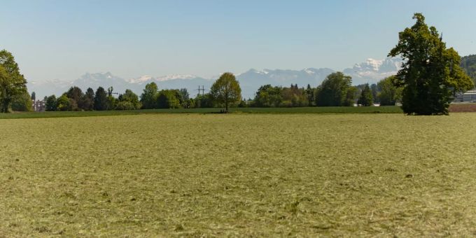 Freies Feld zwischen Dübendorf und Geeren. Freies Feld zwischen Dübendorf und Geeren.