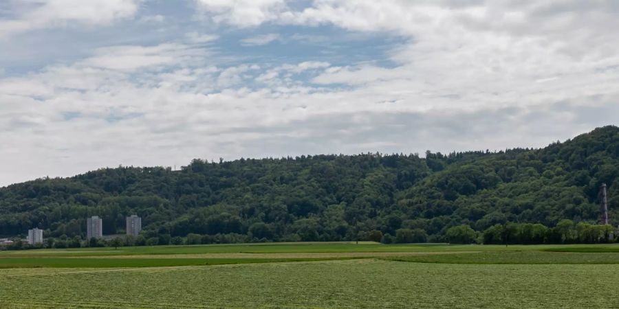 Die Landschaft bei der Einfahrt von Nussbaumen in Untersiggenthal.