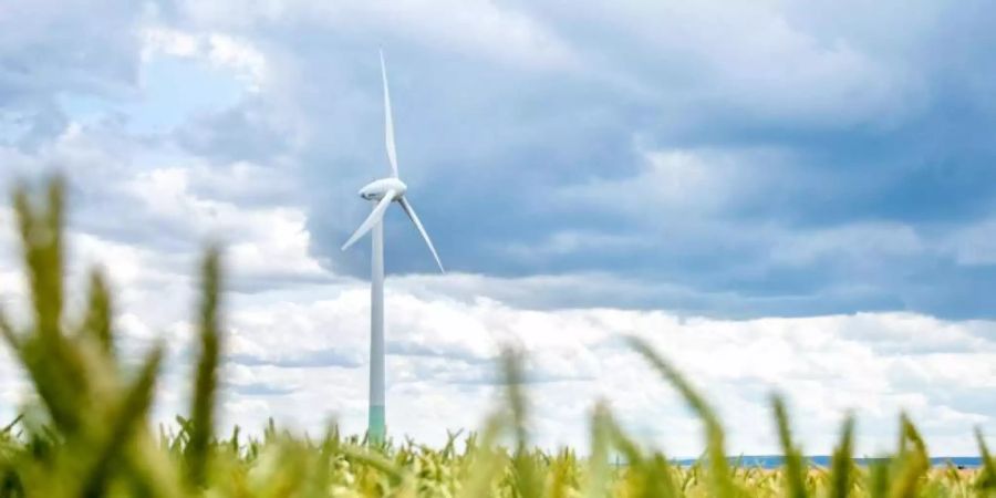 Der von Windkraftanlagen an Land geht weiterhin schleppend voran. Foto: Hauke-Christian Dittrich/dpa