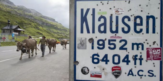 Kühe überqueren den Klausenpass im Kanton Uri. Klausenpass