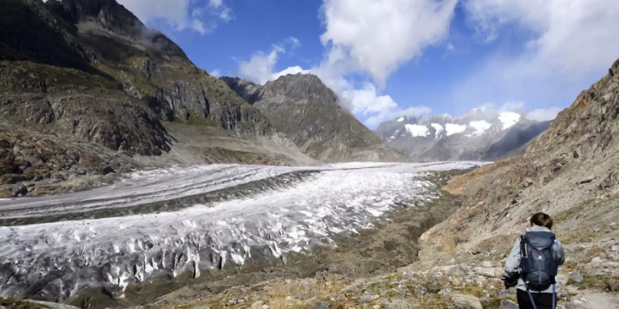 Der Aletschgletscher im Kanton Wallis.