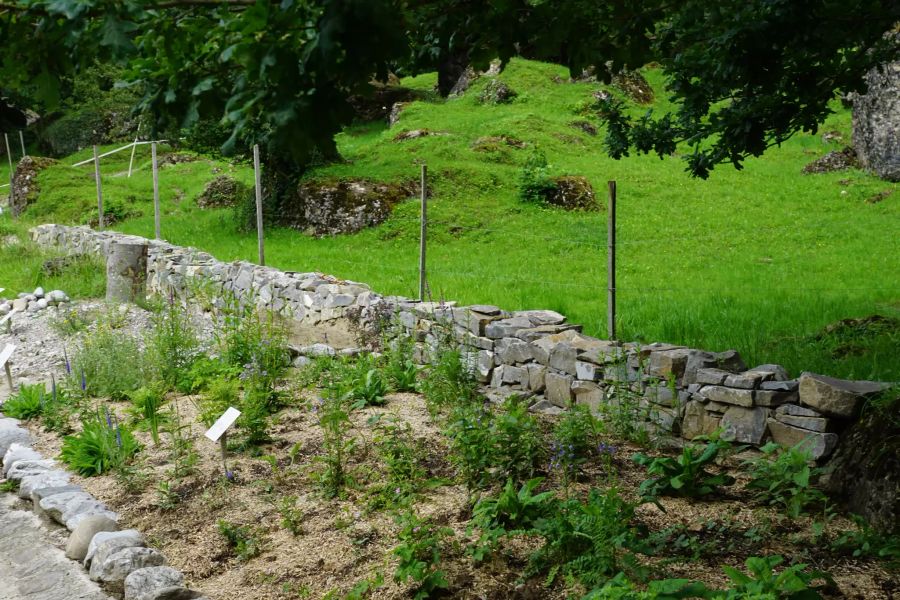 Der Wildbienengarten im Tierpark Goldau.