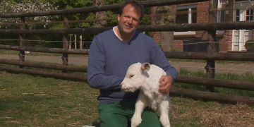 Bauer sucht Frau 2020