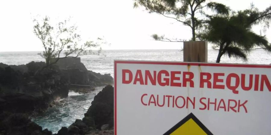 Ein Schild warnt an einem Strand von La Réunion vor Haien. Foto: Gerd Roth/dpa/Archiv