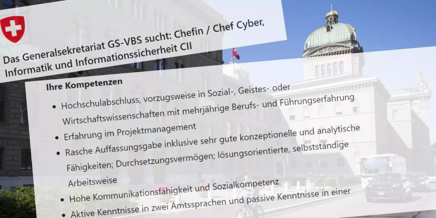 Stellenausschreibung Mr. Cyber