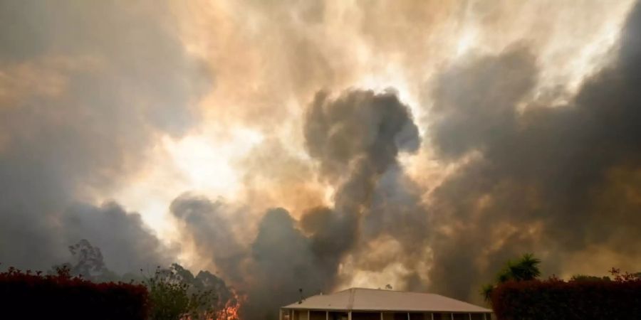 Hunderte Häuser wurden in Australien durch die Brände zerstört