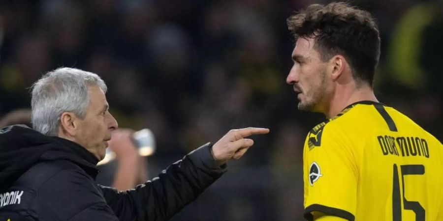 BVB