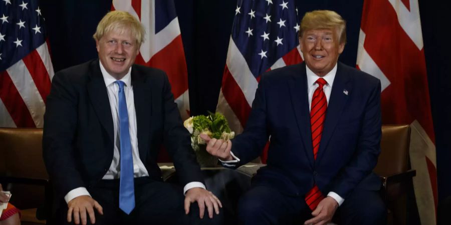 Boris Johnson, Donald Trump