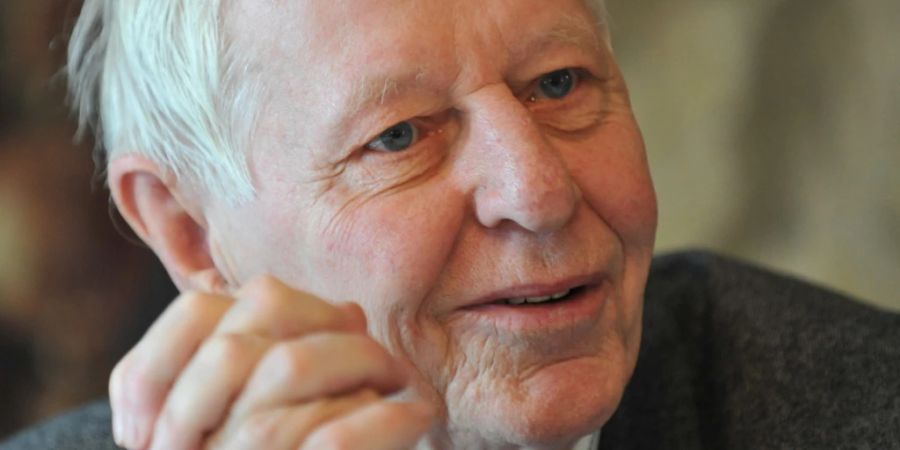 autor hans magnus enzensberger