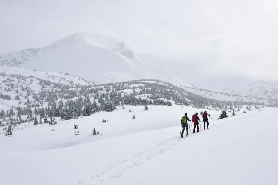 Ski Tour Wintersportler Landschaft Schnee