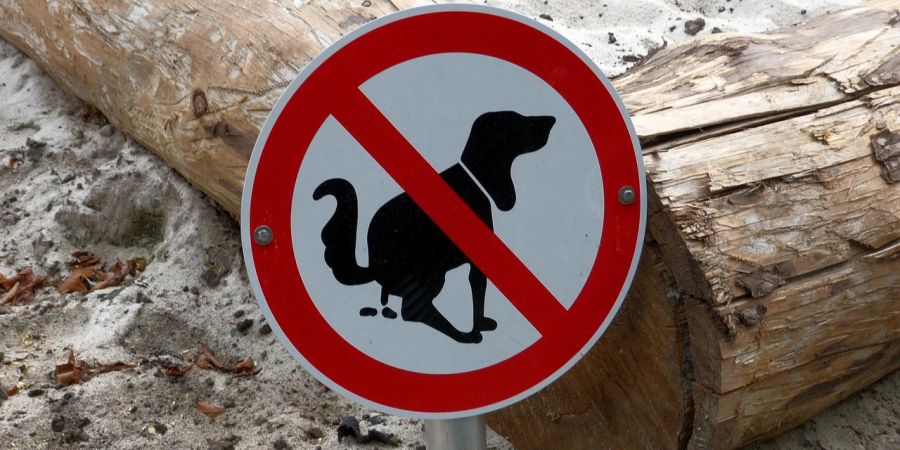 Verbotsschild rot weiss Kot Hund Spielplatz Sand Holzbalken