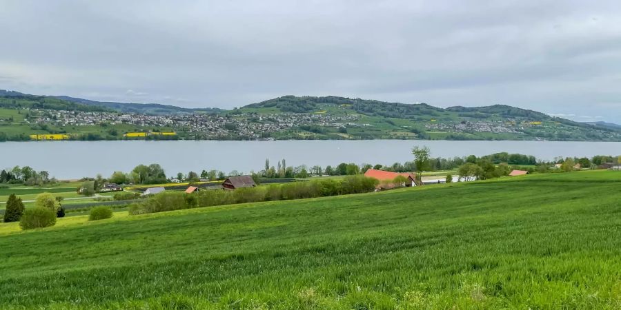 Ausblick auf den Hallwilersee.