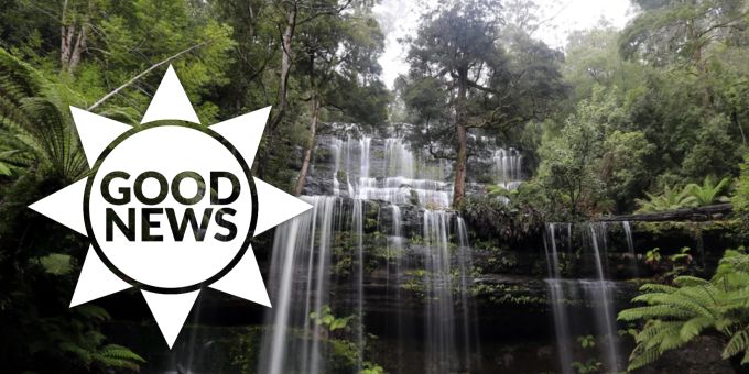 Good News - Tasmanien dank Reduzierung von Abholzung jetzt CO2-negativ