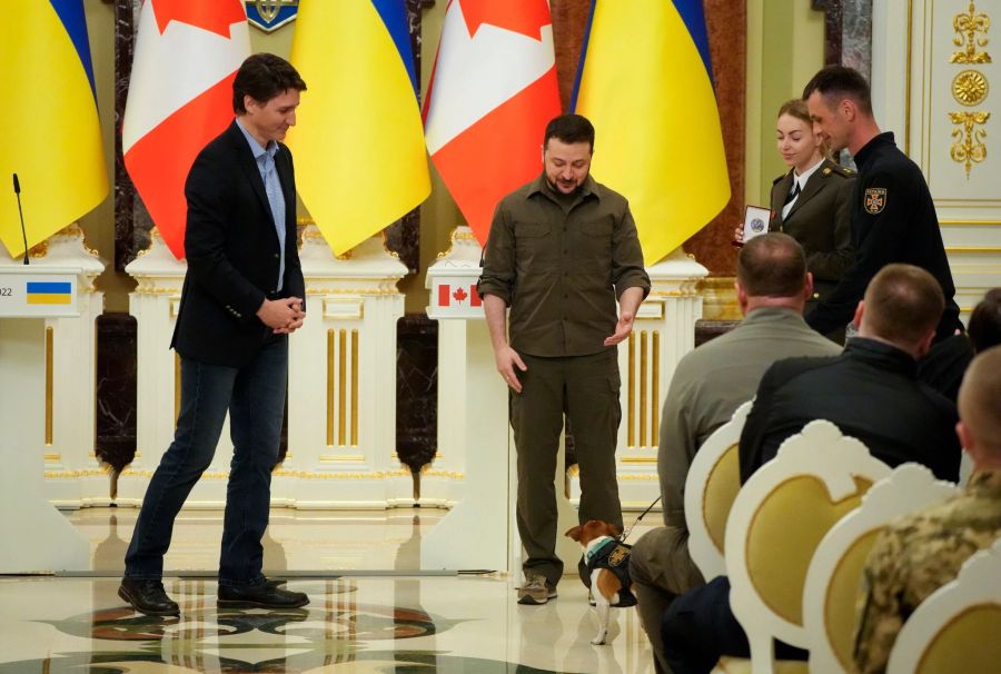 Ukraines Präsident Wolodymyr Selenskyj (M) und sein kanadischer Kollege und Justin Trudeau (l) nehmen an einer Preisverleihung für Hund Patron, Minensuchhund im Ukraine-Krieg, teil. Efrem Lu