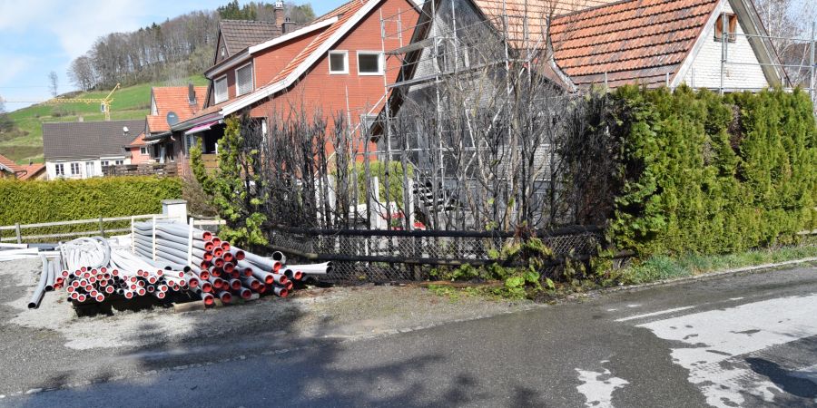 Heckenband in Heiden