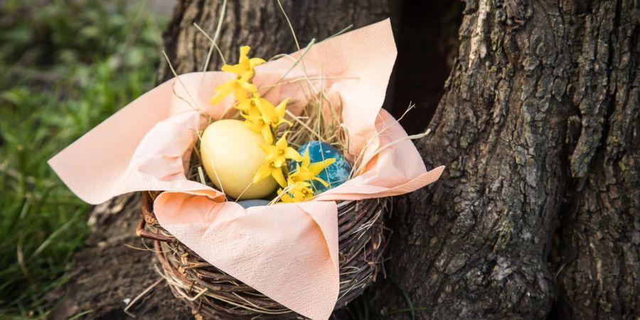 Wer mit hohen Cholesterinwerten zu kämpfen hat, sollte den Inhalt seines Osterkörbchens anpassen.