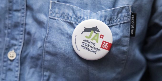 400 Personen - Kundgebung gegen Massentierhaltung in Bern