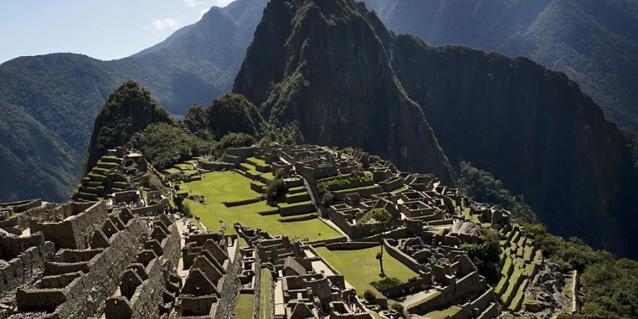 In der peruanischen Andenstadt Machu Picchu wurde eine neue Echsenart entdeckt. (Archivbild)