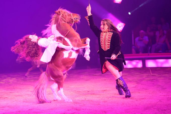 Chanel Marie ist erst 11 Jahre alt, hat aber ihre Ponys voll im Griff. Circus Knie