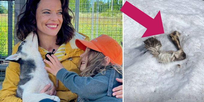 Bei Suche nach Drohne - SRF-Vetsch macht in Lappland grausigen Fund