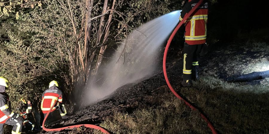 Brand in Steinen