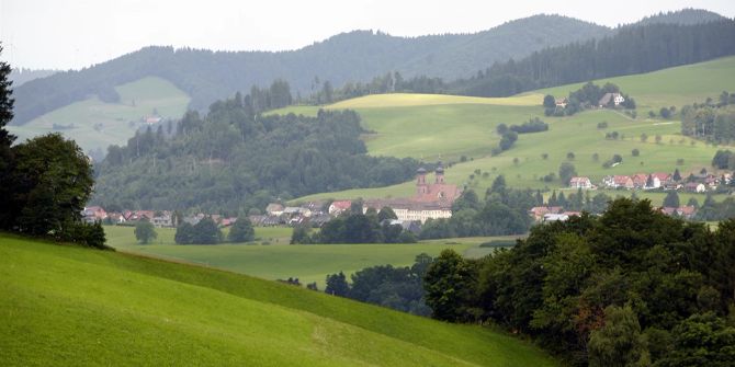 Dorf Wald Hügel Häuser Wald