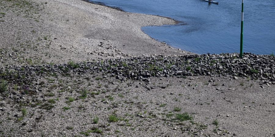 Ein Kanu fährt an den trockengefallenen Buhnen am Rheinufer vorbei. Im Rhein wird in den kommenden Tagen voraussichtlich immer weniger Wasser fliessen.
