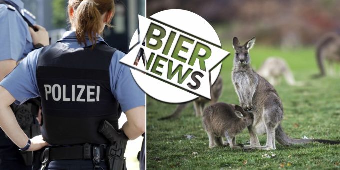 Ausgebüxt! - Deutsche Polizei rennt Känguru hinterher