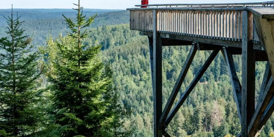 Hauptkommissarin Maris Bächle (Jessica Schwarz) mit Blick auf den Karsee, in dem Wanderer ein totes Mädchen gefunden haben. Foto: ZDF/Maor Waisburd