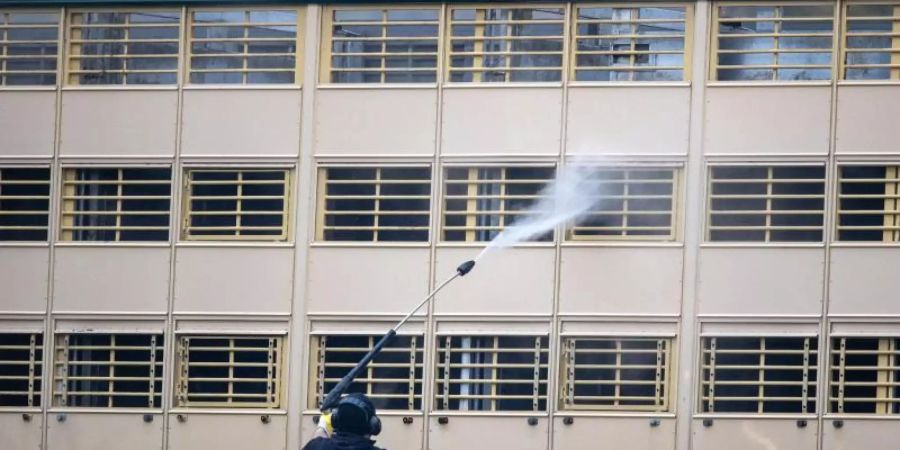 Ein Mann säubert mit einem Hochdruckreiniger einen Viehtransporter. Foto: Jens Büttner/dpa-Zentralbild/dpa